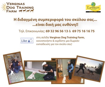 Verginas Dog Training Farm