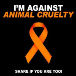 Κακοποίηση ζώων